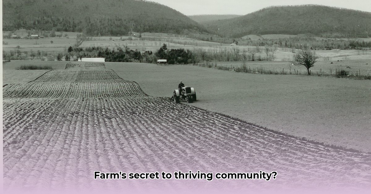 tractor-supply-carver